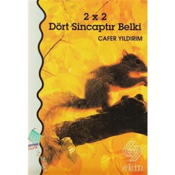 2X2 DÖRT SİNCAPTIR BELKI - CAFER YILDIRIM