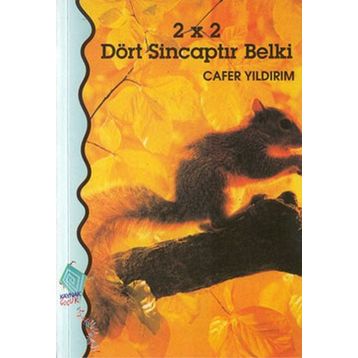 2X2 DÖRT SİNCAPTIR BELKI - CAFER YILDIRIM