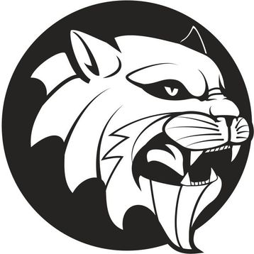 30 cm Aslan 8 Folyo Sticker