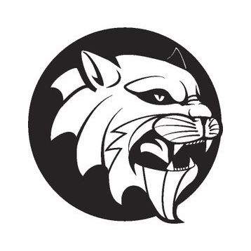 30 cm Aslan 8 Folyo Sticker
