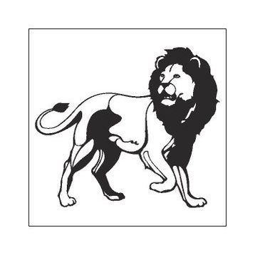 30 cm Aslan Lion Folyo Sticker