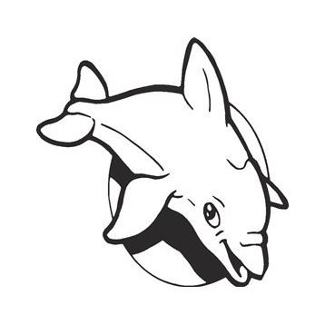 30 cm Balık Folyo Sticker