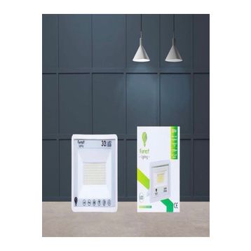 30 Watt Beyaz Işık Led Projektör