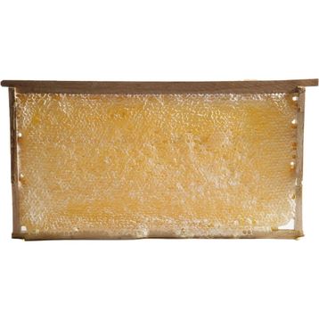 3500 gr Sivas Petek Çiçek Balı