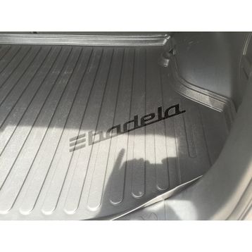 3D Hyundai Santa Fe 3D Bagaj Havuzu