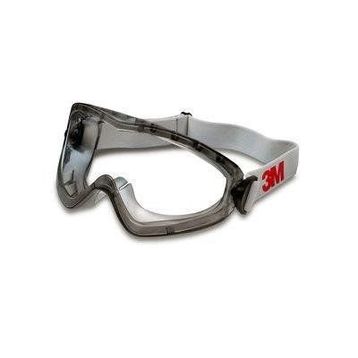 3M 2890A Koruyucu Gözlük
