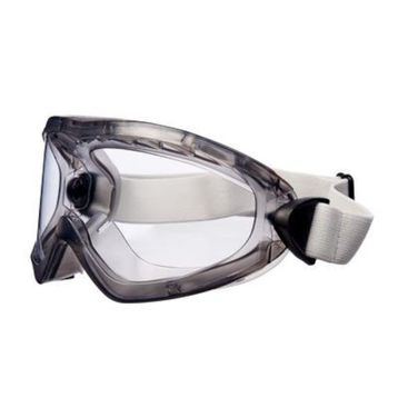 3M 2890A Koruyucu Gözlük