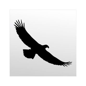 40 cm Kartal Folyo Sticker