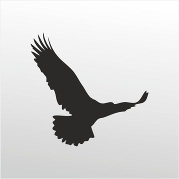 40 cm Kartal Folyo Sticker