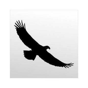 40 cm Kartal Folyo Sticker