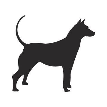 40 cm Köpek Folyo Sticker