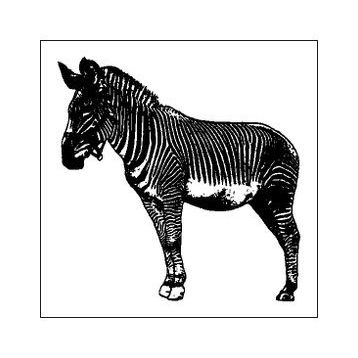 40 cm Zebra Folyo Sticker