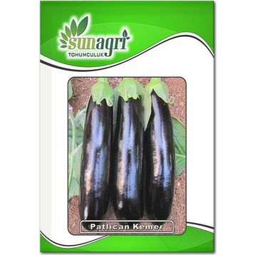 5 gr Tatlı Kıl Biber Tohumu