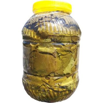 5 kg Salamura Yaprak