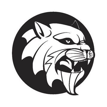 50 cm Aslan 8 Folyo Sticker