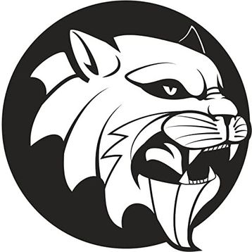50 cm Aslan 8 Folyo Sticker