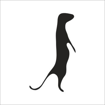 50 cm Gelincik Folyo Sticker