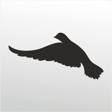 50 cm Güvercin Folyo Sticker