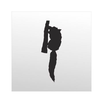50 cm Rakun Folyo Sticker