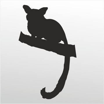 50 cm Rakun Folyo Sticker