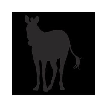 50 cm Zebra Folyo Sticker