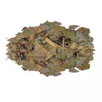 50 gr Avakado Yaprağı