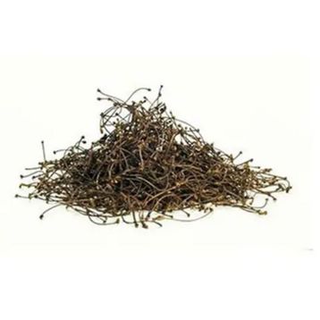 50 gr Kurutulmuş Kiraz Sapı