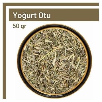 50 gr Yoğurt Otu