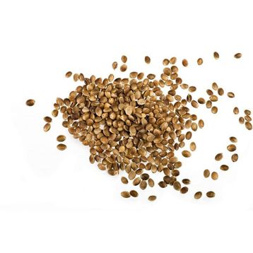 500 gr Kendir Tohumu