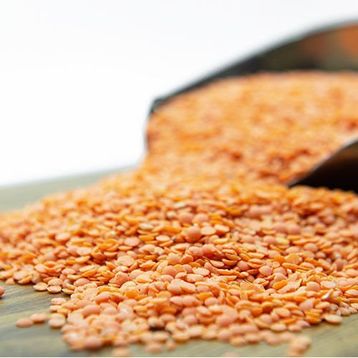 500 gr Kırmızı Mercimek