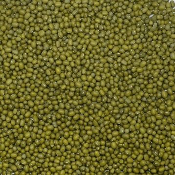 500 gr Maş Fasülyesi
