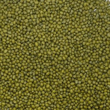 500 gr Maş Fasülyesi