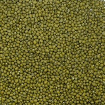 500 gr Maş Fasülyesi