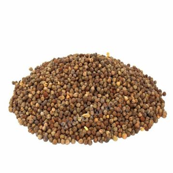 500 gr Rezene Tohumu