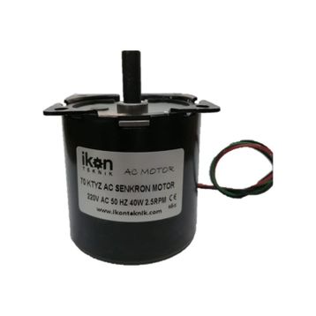 5Rpm 40W 70Ktyz Ac Senkron Motor