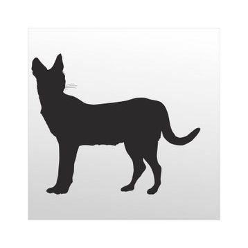 60 cm Kedi Folyo Sticker