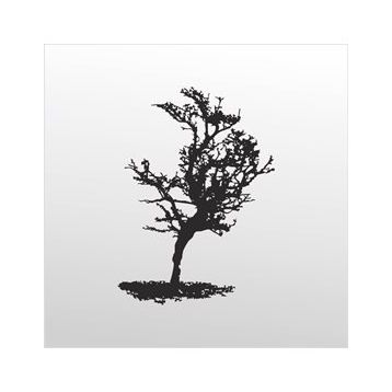 70 cm Ağaç Folyo Sticker