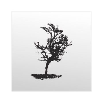70 cm Ağaç Folyo Sticker