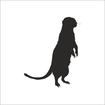 70 cm Gelincik Folyo Sticker