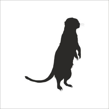 70 cm Gelincik Folyo Sticker