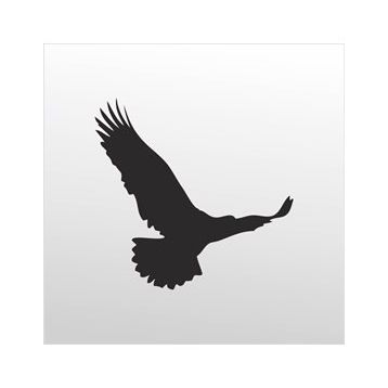 70 cm Kartal Folyo Sticker