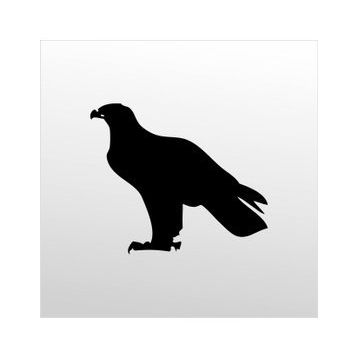 70 cm Kartal Folyo Sticker