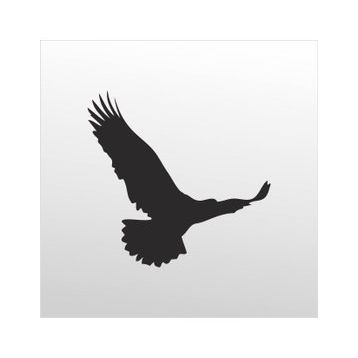70 cm Kartal Folyo Sticker