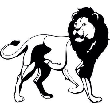 80 cm Aslan Lion Folyo Sticker