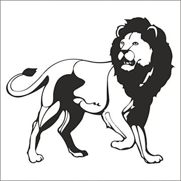 80 cm Aslan Lion Folyo Sticker