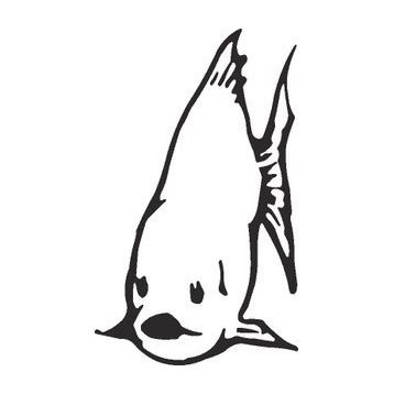 80 cm Balık Folyo Sticker