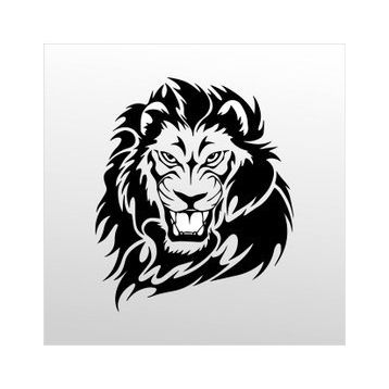 80 cm Kaplan Folyo Sticker