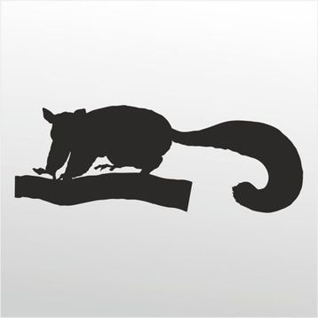 80 cm Kokarca Folyo Sticker