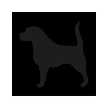 80 cm Köpek Folyo Sticker