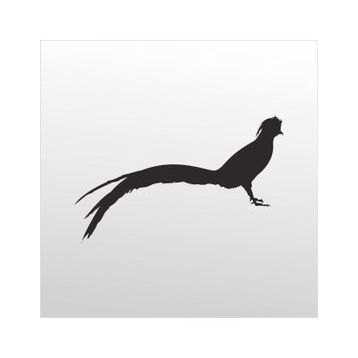 90 cm Anka Kuşu Folyo Sticker